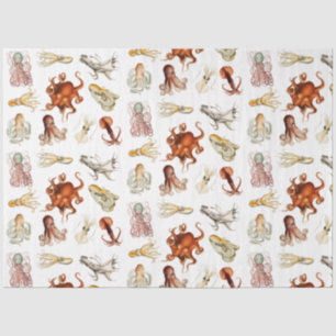 Papel De Seda Acuarela Octopus Cephalopod Ocean Animals