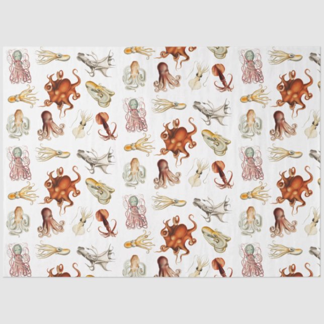 Papel De Seda Acuarela Octopus Cephalopod Ocean Animals (Anverso)