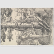 Adam y Eva: La caída del hombre (Lucas van Leyden)