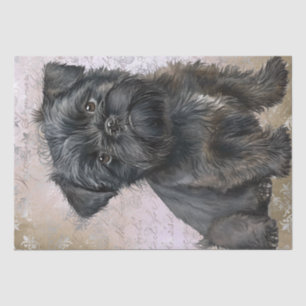 Papel De Seda Affenpinscher Puppy Dog