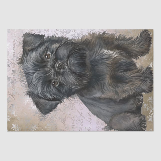Papel De Seda Affenpinscher Puppy Dog (Anverso)