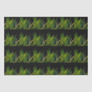 Papel De Seda Agave glow