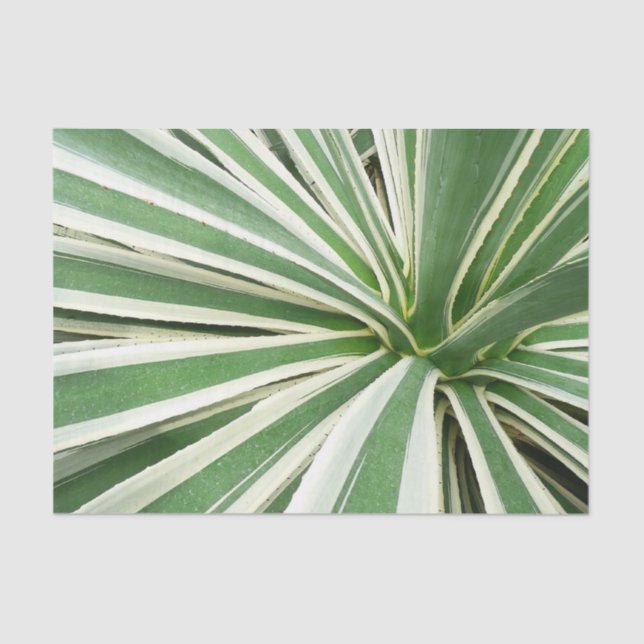 Papel De Seda Agave Plant Green y White Strike (Anverso)