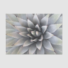 Papel De Seda Agave Suculento Plant Cactus Sabio verde