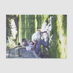 PAPEL DE SEDA AGRICULTURA