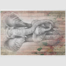 Agua de la familia de los elefantes grises