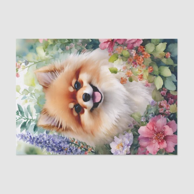 Papel De Seda Agua Floral Pomerania Canina (Anverso)