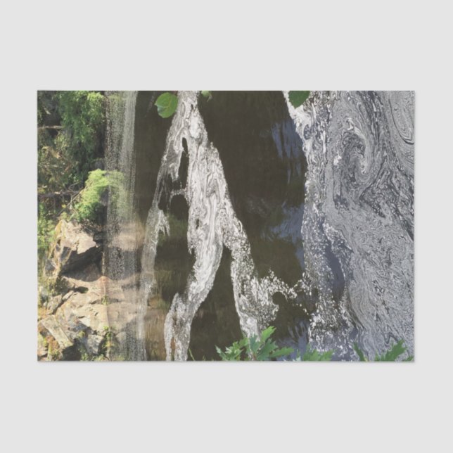 Papel De Seda Agua y árboles (Anverso)