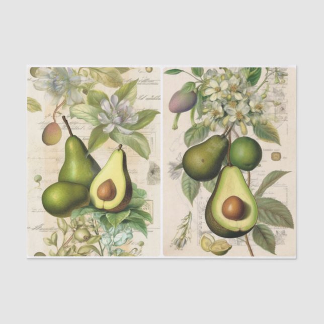 Papel De Seda Aguacates (Anverso)