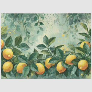 Papel De Seda Aguada Limonar Cítrico