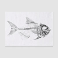 Aguafuerte esquelética de los pescados del vintage