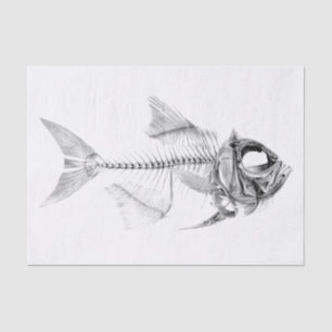 Papel De Seda Aguafuerte esquelética de los pescados del vintage