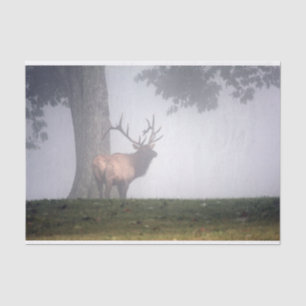 Papel De Seda Alces de Bull