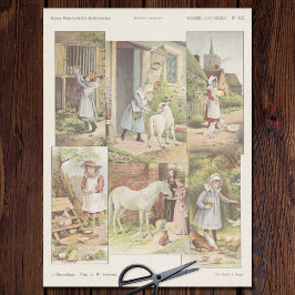 Papel De Seda Alimentando la desinformación sobre los animales d