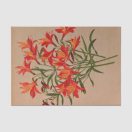 Papel De Seda Alstroemeria Aurantiaca por Arentina Arendsen