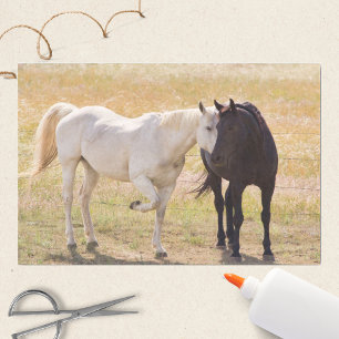 Papel De Seda Amando Caballos
