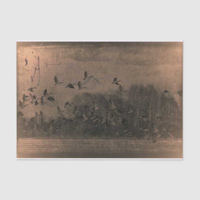 Papel De Seda Amanecer de textura marrón de la antigüedad de épo (Anverso)