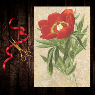 Papel De Seda Amapola en damasco rojo dorado vintage con puntos