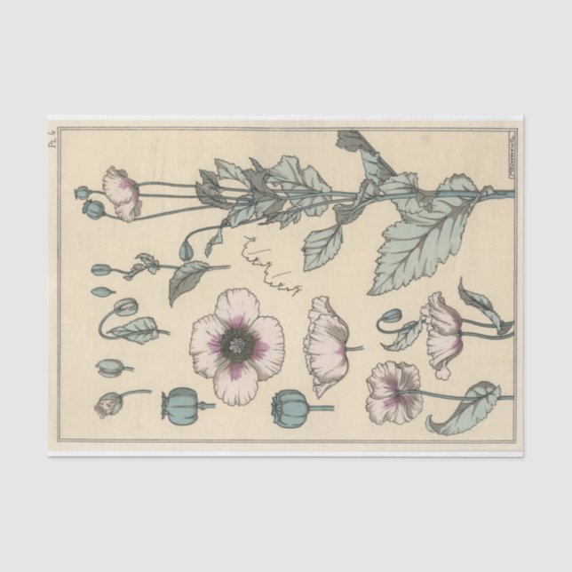 Papel De Seda Amapola, Serie de Botánica de Eugene Grasset (Anverso)