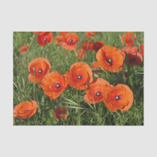 Papel De Seda Amapolas comunes