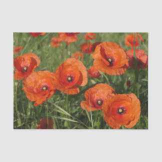 Papel De Seda Amapolas comunes