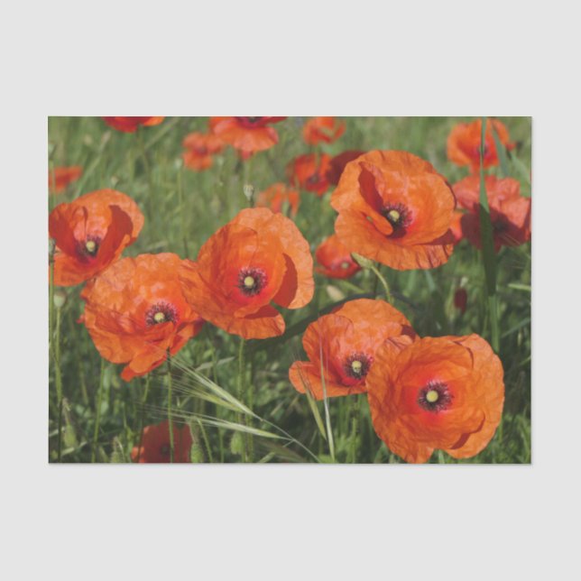 Papel De Seda Amapolas comunes (Anverso)