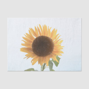 Papel De Seda Amarillo de Girasol Arte Rústico de Boceto Sencill