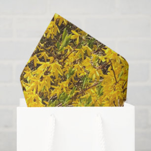 Papel De Seda Amarillo Feliz Florecimiento Pacífica Primavera Na