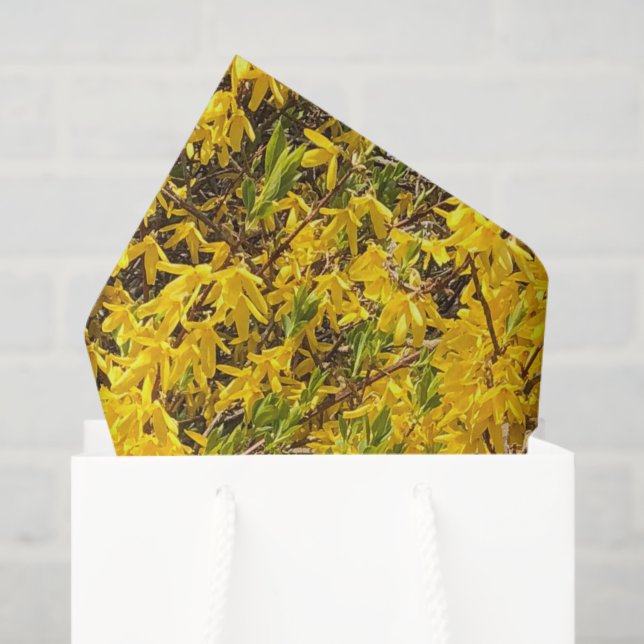 Papel De Seda Amarillo Feliz Florecimiento Pacífica Primavera Na (Bolsa de regalo)