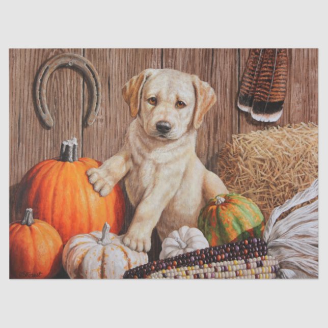Papel De Seda Amarillo Labrador Recuperador Calabaza de Perro Pu (Anverso)