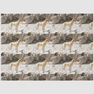 Papel De Seda amarillo réflex lleno