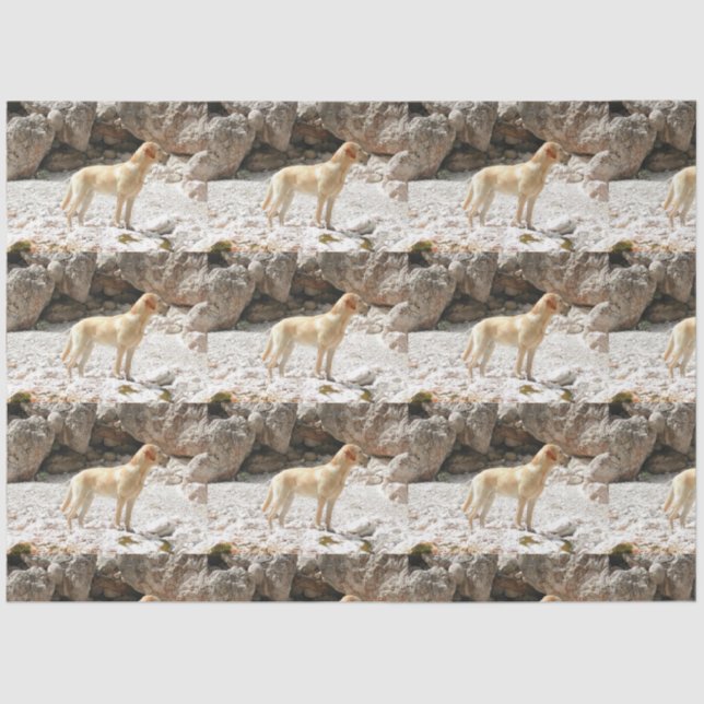 Papel De Seda amarillo réflex lleno (Anverso)