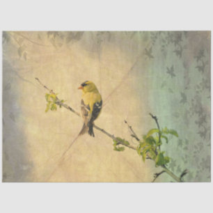 Papel De Seda American Gold Finch Bird on Branch Tissue Paper