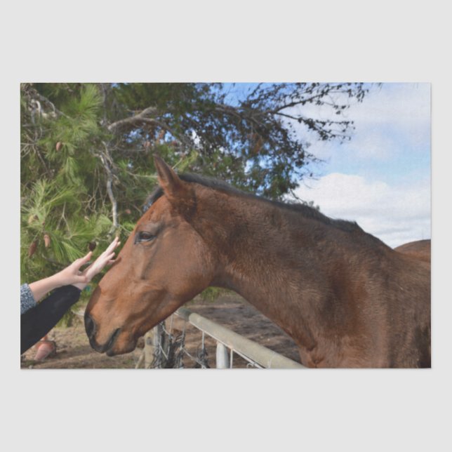 Papel De Seda Amigo del caballo para siempre, (Anverso)