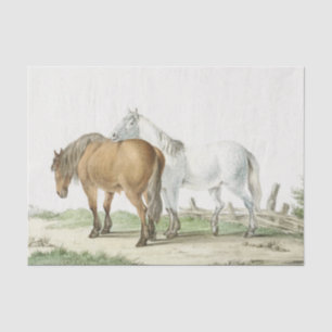 Papel De Seda Amistad de Caballo te Apoya Ecuestre Vintage