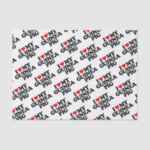 PAPEL DE SEDA AMO MI CONEJILLO DE INDIAS