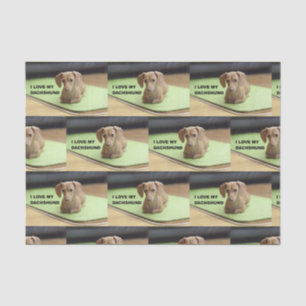 Papel De Seda Amo mi crema Dachshund con una foto