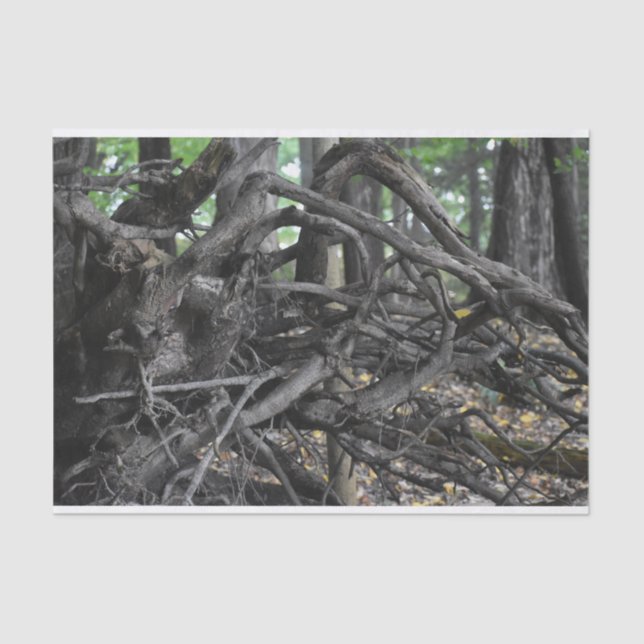 Papel De Seda Amor a un árbol caído (Anverso)