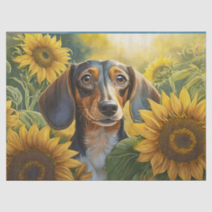 Papel De Seda Amor de cachorro de girasol, Dachshund