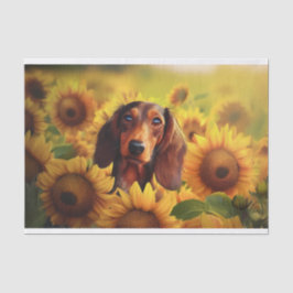 Papel De Seda Amor de Girasol, Dachshund marrón de pelo largo