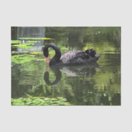 Papel De Seda Amor del cisne