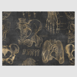 Papel De Seda Anatomía de oro dibuja en negro