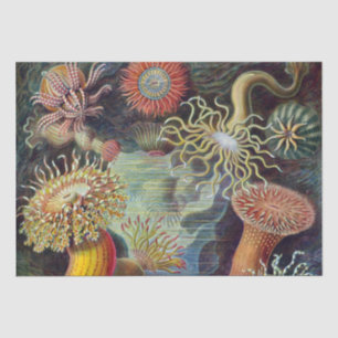 Papel De Seda Anémona de mar naturaleza científica océano