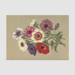Papel De Seda Anemone Coronaria de Arentina Hendrica Arendsen