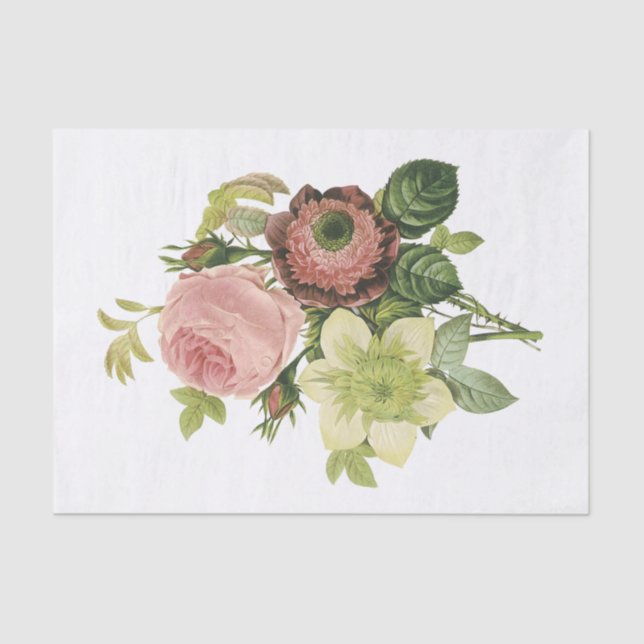 Papel De Seda Anemone, Rosa, Clematis (Anverso)
