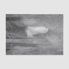 Papel De Seda Ángel Vintage Negro Y Blanco Caminando En El Bosqu