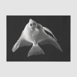 Papel De Seda Angelina