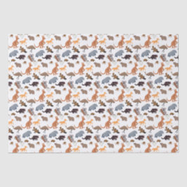 Papel De Seda Animales de Australia Aussie Wildlife