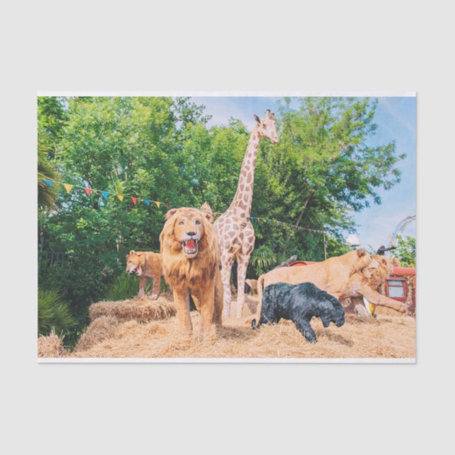 Papel De Seda Animales de peluche (Anverso)