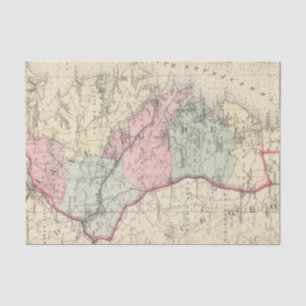 Papel De Seda Anne Arundel